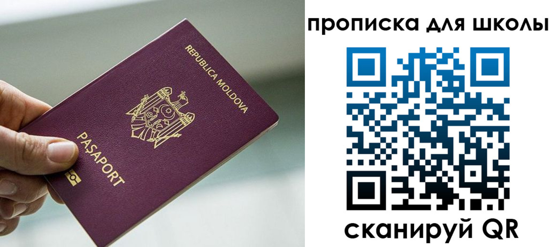 прописка в квартире в Коми